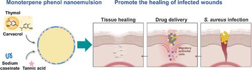 Encapsulation of Monoterpene Phenols in Protein-Stabilized Nanoemulsions for Improved Wound Healing