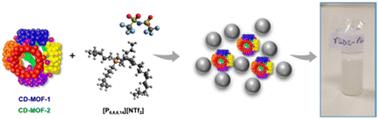 Porous ionic liquids based on biocompatible CD-MOFs†