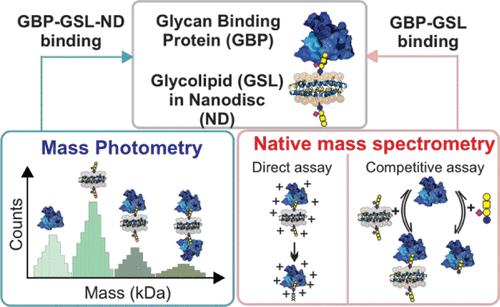 Abstract Image
