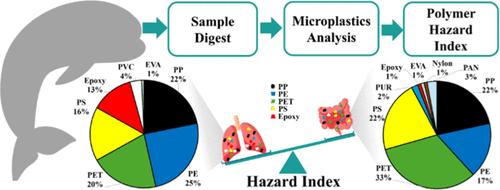 Comparison of Microplastics between Lung Tissues and Intestinal Contents in Finless Porpoises (Neophocaena asiaeorientalis)