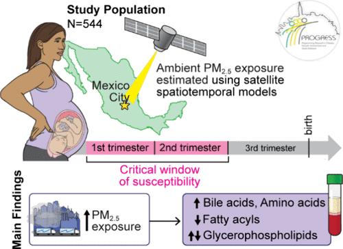 Pregnancy as a Susceptible Period to Ambient Air Pollution Exposure on the Maternal Postpartum Metabolome