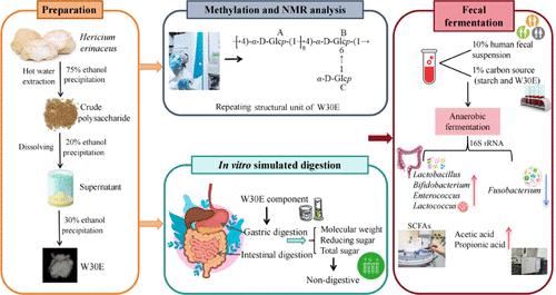 Preparation, Structural Characterization, and In Vitro Modulation of the Gut Microbiota Activity of a Novel α-Glucan in Hericium erinaceus