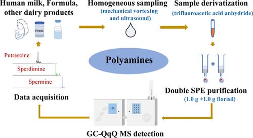 Identification of Polyamines in Human Milk, Formula Milk, and Other Dairy Products: a Special Method Based on Precolumn Derivatization, Double-Florisil Purification, and Gas Chromatography–Triple Quadrupole Mass Spectrometry