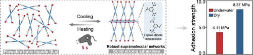 Strong Underwater Supramolecular Adhesives via Fluorinated Ionic Liquids