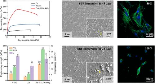 Degradation Characteristics and Biocompatibility of Zinc Alloy in Advanced Biomedical Bone Implants