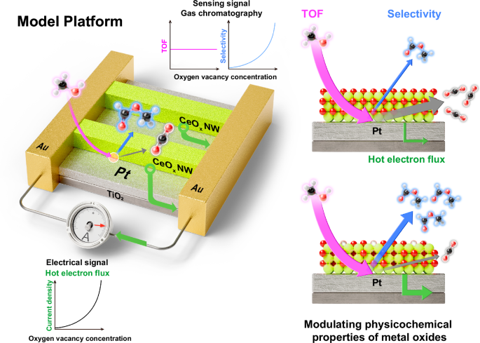 Unraveling oxygen vacancy-driven catalytic selectivity and hot electron generation on heterointerfaces using nanostructured platform
