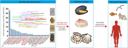 Molecular diversity and potential ecological risks of toxic HAB species in the coastal waters off Qinhuangdao, China