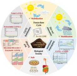 Reduction-stabilization characteristics, long-term stability and biotoxicity evaluation of Fe(II)/Al layered double hydroxides on Cr(VI) in contaminated soil