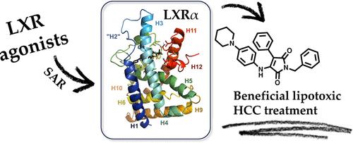 Uncovering α-Selectivity for Liver X Receptor Agonists for Lipotoxic Cancer Therapies