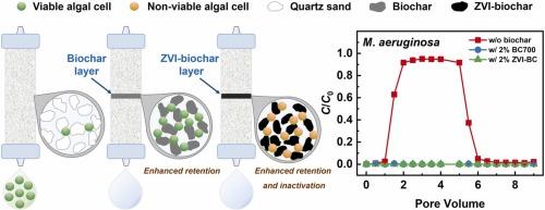 Modification of sand filtration system with biochar/zero valent iron-biochar for the simultaneous removal of algal cells and microcystin-LR