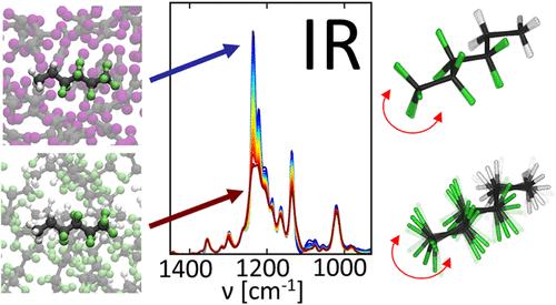 Infrared Spectroscopic Signatures of the Fluorous Effect Arise from a Change of Conformational Dynamics