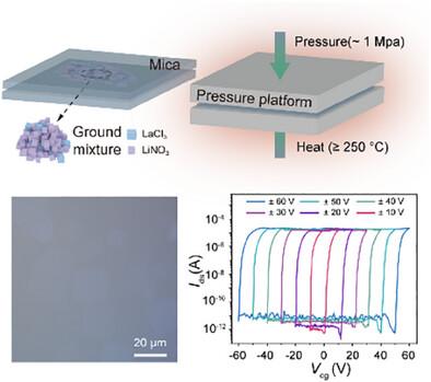 Low-Temperature Controlled Growth of 2D LaOCl with Enhanced Dielectric Properties for Advanced Electronics