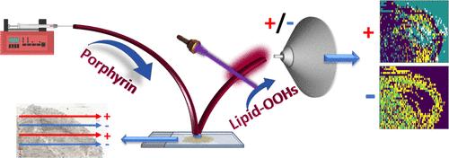 Universal Photosensitizer for Isomer-Selective Lipid Imaging with High Molecular Coverage