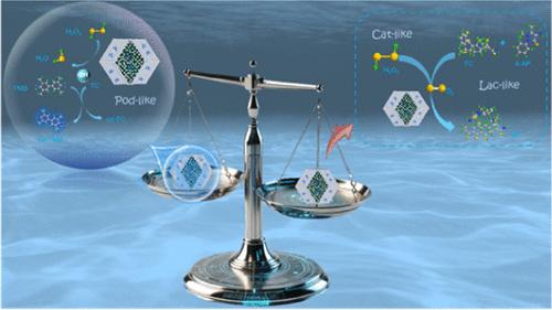 S-Modified MOF Nanozyme Cascade System with Multi-Enzyme Activity for Dual-Mode Antibiotic Assay