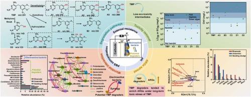 Efficient anaerobic biodegradation of trimethoprim driven by electrogenic respiration: Optimizing bioelectro-characterization, elucidating biodegradation mechanism and fate of antibiotic resistance genes systematically
