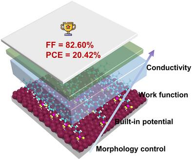 Double Hole Transport Layers Enable 20.42% Efficiency Organic Solar Cells by Aggregation Control of Self-Assembled Molecules on Cobalt Salt Surfaces