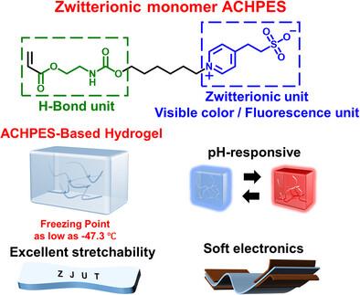 Supramolecular Zwitterionic Hydrogels for Information Encryption, Soft Electronics and Energy Storage at Icy Temperature