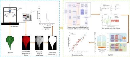 Fluorescence hyperspectral imaging for detection of selenium content in lettuce leaves under cadmium-free and cadmium environments