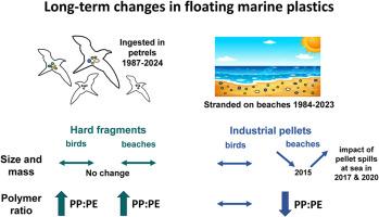 Long-term variations in size and polymer type of meso- and microplastics in seabirds and on beaches since the 1980s