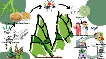 Uncovering Taxiphyllin in bamboo shoots: An analytical perspective
