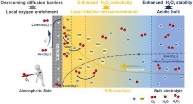 Engineering Localized Alkalinity and Oxygen Enrichment for Efficient Acidic O2-to-H2O2 Electroreduction via Carbon-Based Triphase Interfaces