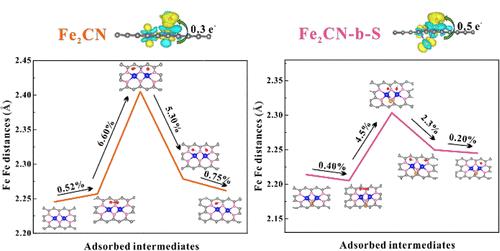 Ferredoxin-Inspired Stereoisomeric Fe2CN-Bridge-S Dual Atom Catalyst for Enhanced Acid Oxygen Reduction Reaction