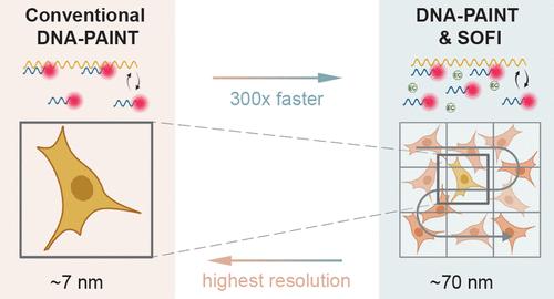 High-Throughput Single-Molecule Microscopy with Adaptable Spatial Resolution Using Exchangeable Oligonucleotide Labels