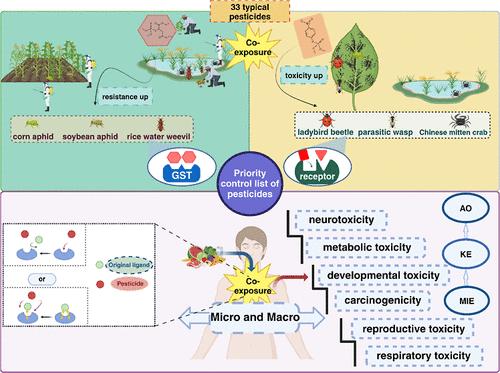 Exposure Risk Identification and Priority Control List Development of Pesticides in Agricultural Cultivation Areas
