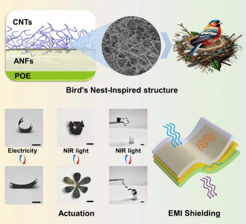 Bird’s-Nest-Inspired, High-Temperature-Resistant Soft Robots with Enhanced Electromagnetic Interference Shielding