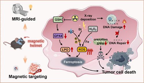 Fe3O4@Bi2S3 Nanoparticles Mediated MRI-Guided Precision Radiosensitization for Orthotopic Glioblastoma via External Magnetism