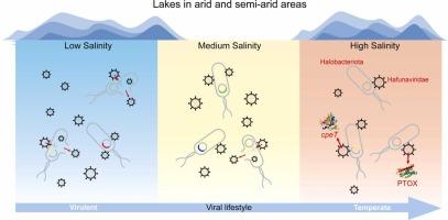 Salinity as a key factor affects viral structure, function, and life strategies in lakes from arid and semi-arid regions