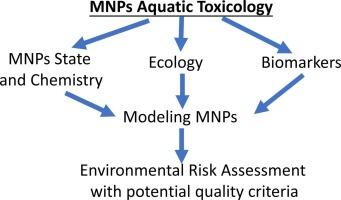 Marine micro(nano)plastics toxicology: Knowledge gaps and perspectives