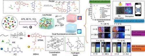 A mechanically tough and fluorescent double network hydrogel simultaneously featuring advanced information encryption and smart food monitoring