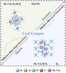 Exploring solid-phase reaction mechanism to elucidate the formation of effective silica through thermal–chemical coupled activation of siliceous minerals in coal gangue