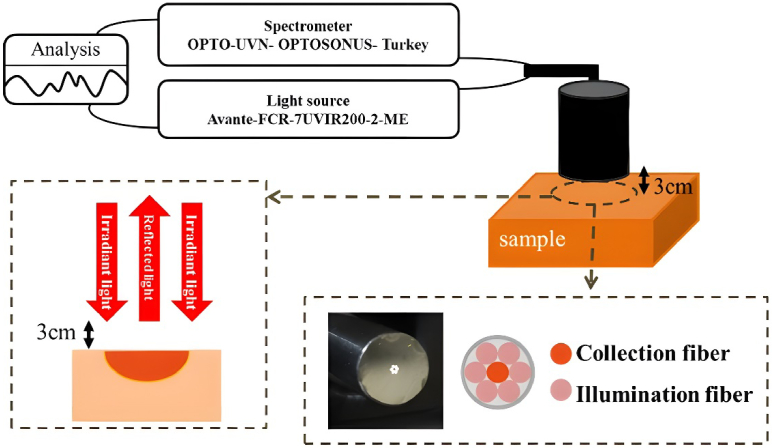 Variation of optical properties of mouse brain using an optical clearing agent: experimental and simulation approaches.