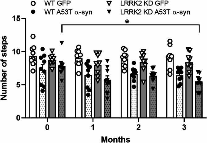 Viral mediated α-synuclein overexpression results in greater transgene levels and α-synuclein overload in mice bearing kinase dead mutation of LRRK2.