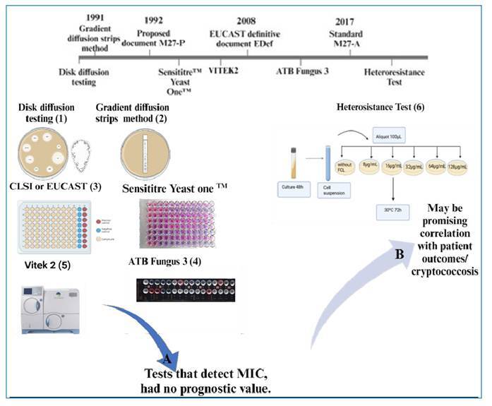 Fluconazole Resistance and Heteroresistance in Cryptococcus spp.: Mechanisms and Implications.