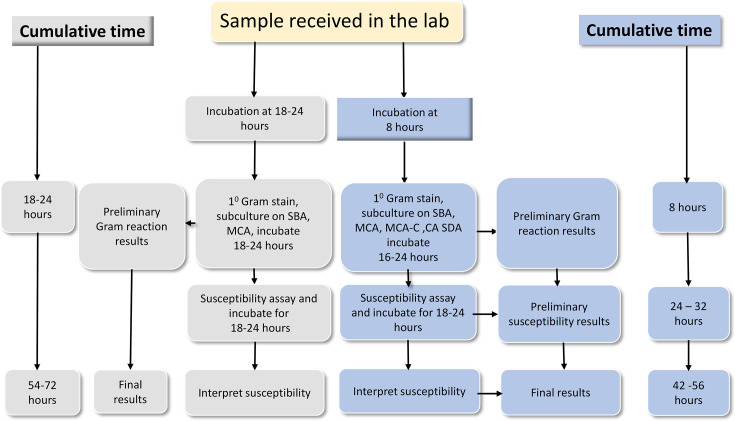 Effect of the incubation time on blood culture results and bacterial pathogens causing bloodstream infections among children attending Sekou Toure Regional Referral Hospital in Mwanza, Tanzania.