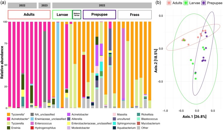 The bacterial community associated with the solitary resin bee Megachile tosticauda throughout its life cycle.
