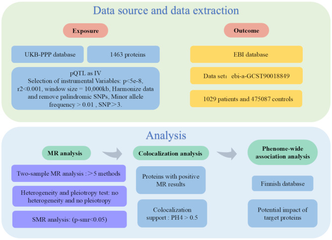 Therapeutic Targets for Gastric Cancer: Mendelian Randomization and Colocalization Analysis.