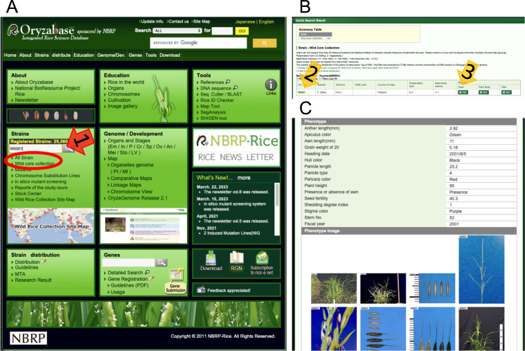 Usage of wild <i>Oryza</i> germplasms for breeding in pan-genomics era.
