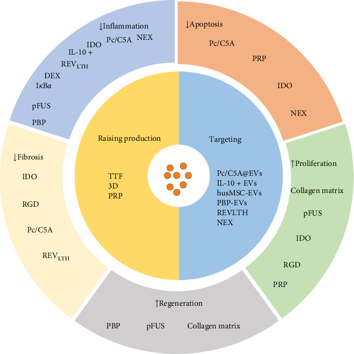 Effects and Mechanisms of Extracellular Vesicles in Different Models of Acute Kidney Injury.