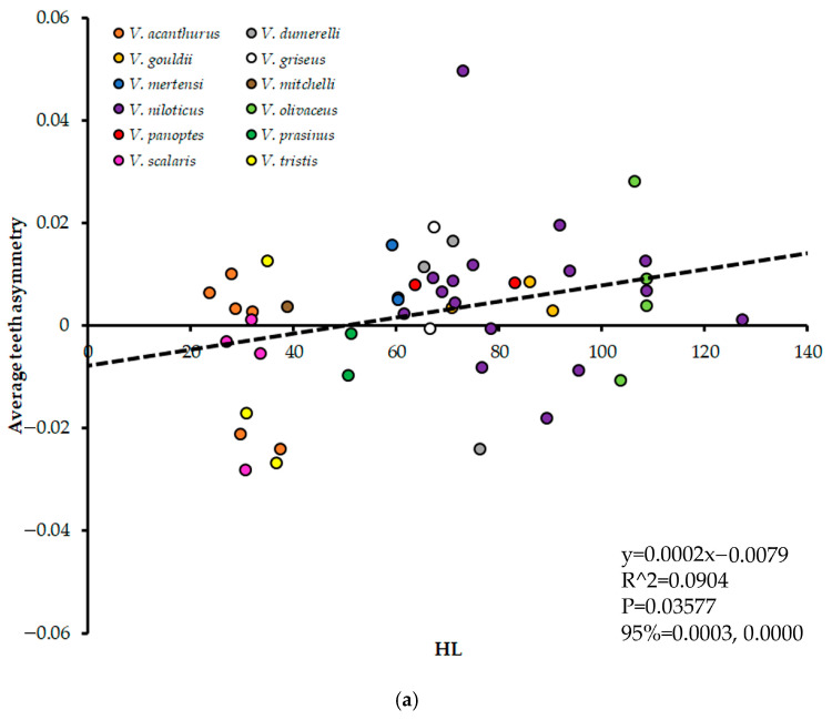Varanid Teeth Asymmetry and Correlation to Body Size.