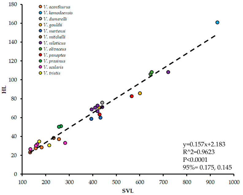 Varanid Teeth Asymmetry and Correlation to Body Size.