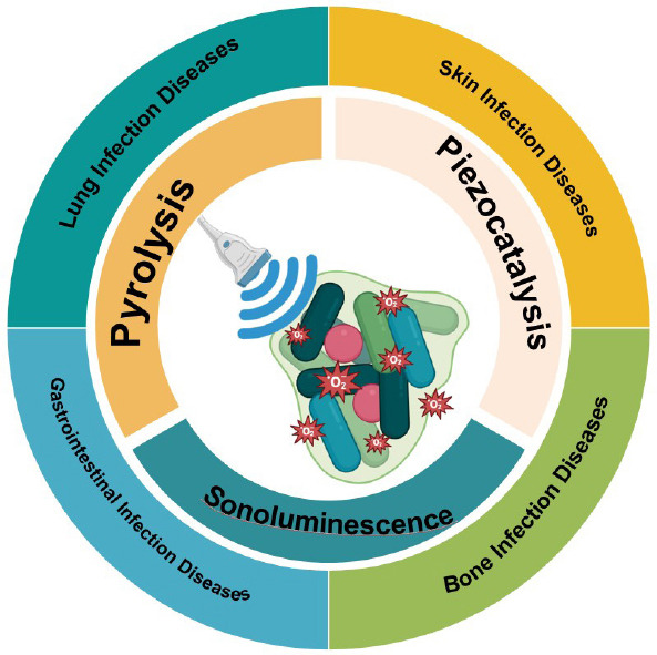 Antibacterial sonodynamic nanomedicine: mechanism, category, and applications.
