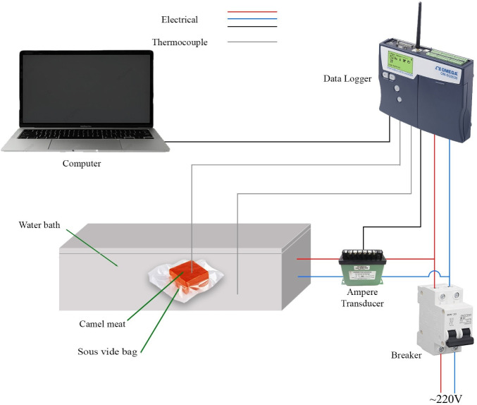 Evaluating Energy Consumption and Thermophysical Characteristics of Camel (<i>Camelus dromedarius</i>) Meat Cooked Using a Newly Developed Ohmic-Sous Vide Cooking System.