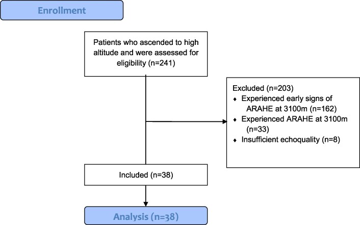 Pulmonary haemodynamics by echocardiography over 3 days of acclimatization in lowlanders with chronic obstructive pulmonary disease travelling to 3100 m of high altitude.