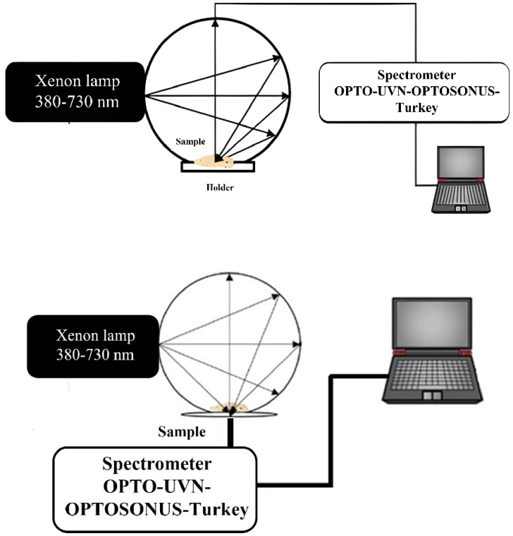 Variation of optical properties of mouse brain using an optical clearing agent: experimental and simulation approaches.