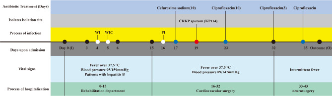 Molecular and genetic features of a bla<sub>NDM-1</sub> and bla<sub>SHV-12</sub> coharboring hypermucoviscous Klebsiella pneumoniae of serotype K2 and ST65.