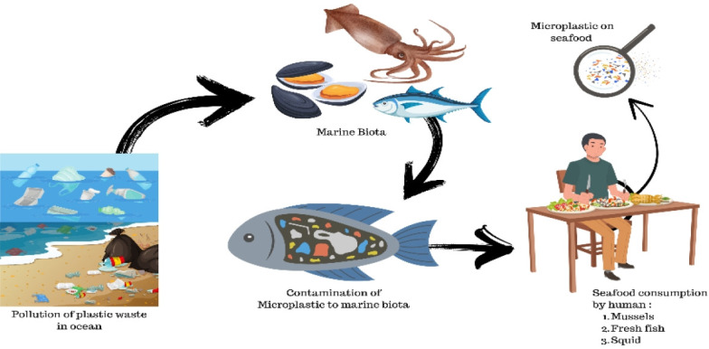 Environmental health risk analysis of microplastics due to consumption of squid and mussels at coastal area.